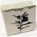 Essence of Desert Thistle Soap
